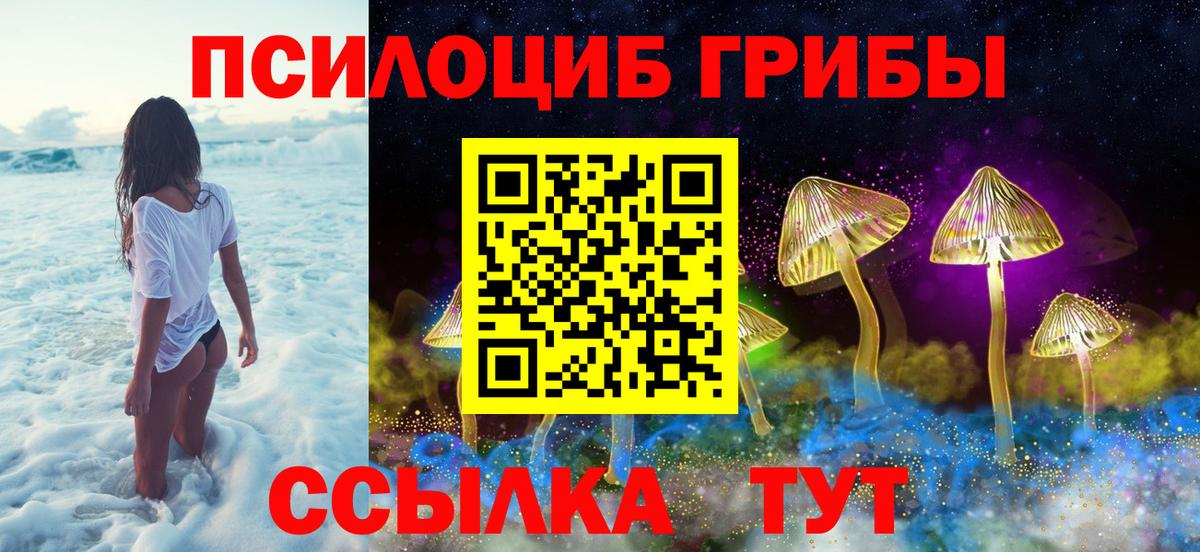 Псилоцибиновые грибы Magic Shrooms  Вход с VPN  как найти   Артём 